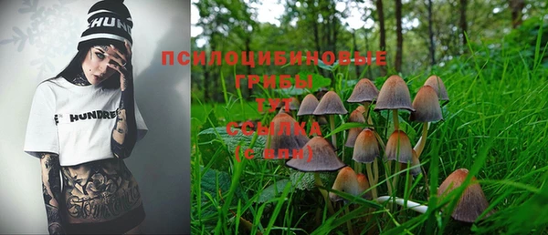 PSILOCYBIN Володарск